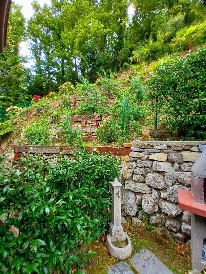 Le Grigne Guest House Oliveto Lario 외부 사진